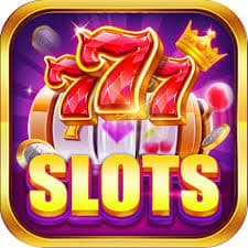 dbbet login