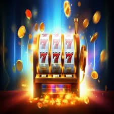 dbbet login